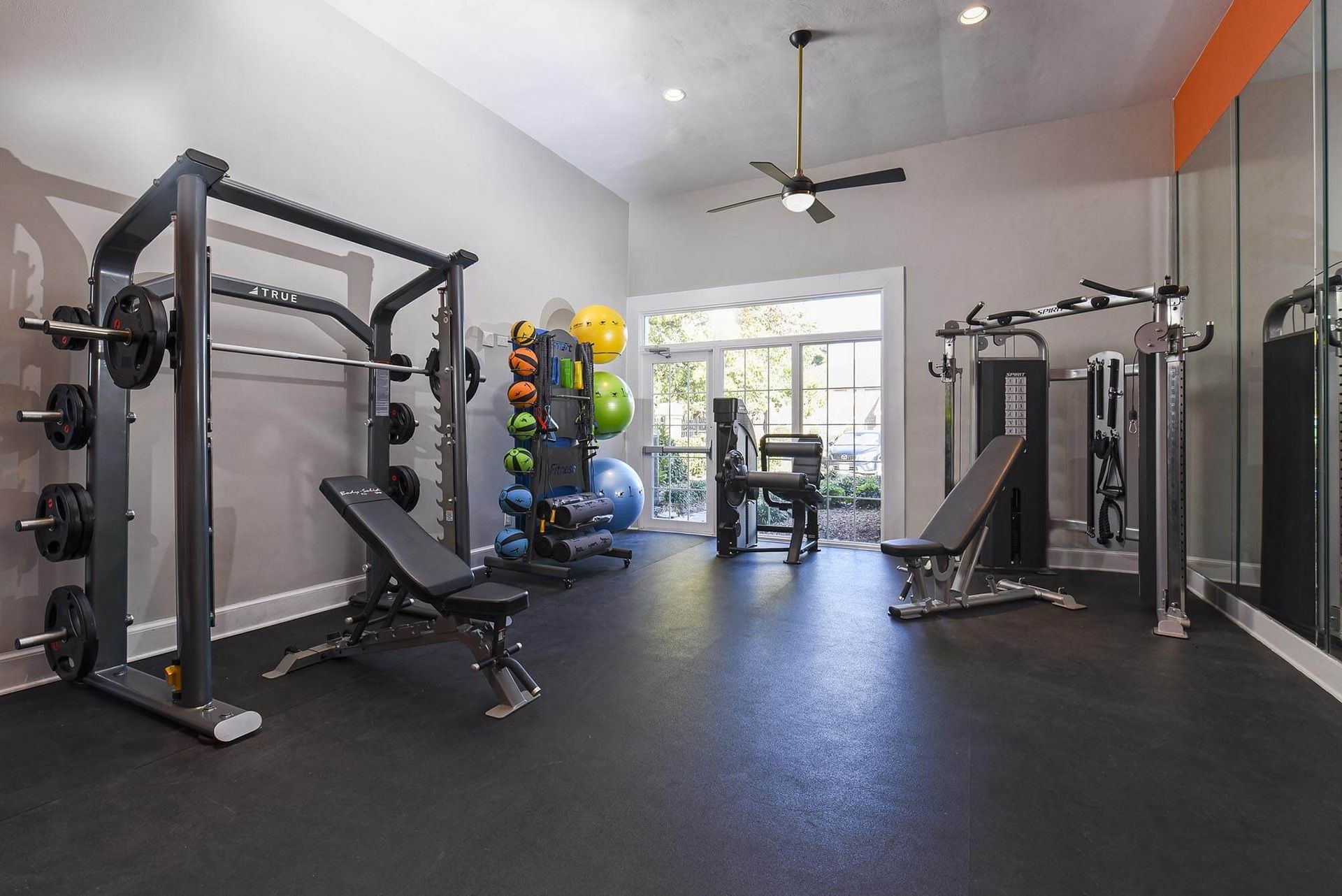 Well-equipped apartment fitness center with weight machines, benches, and a storage rack of medicine balls.