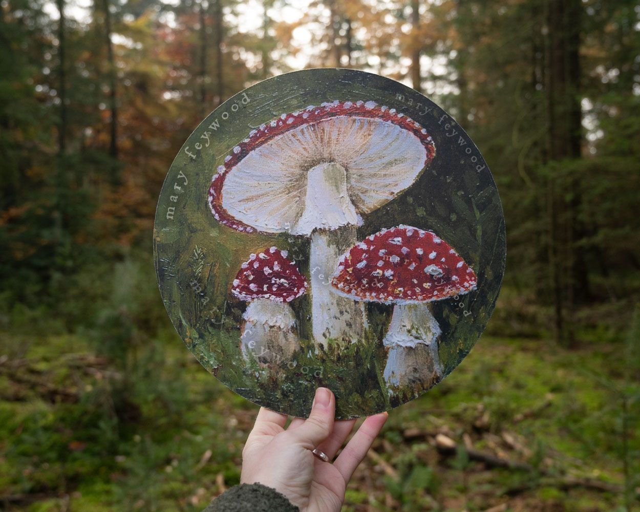 Art circle - Amanita Muscaria