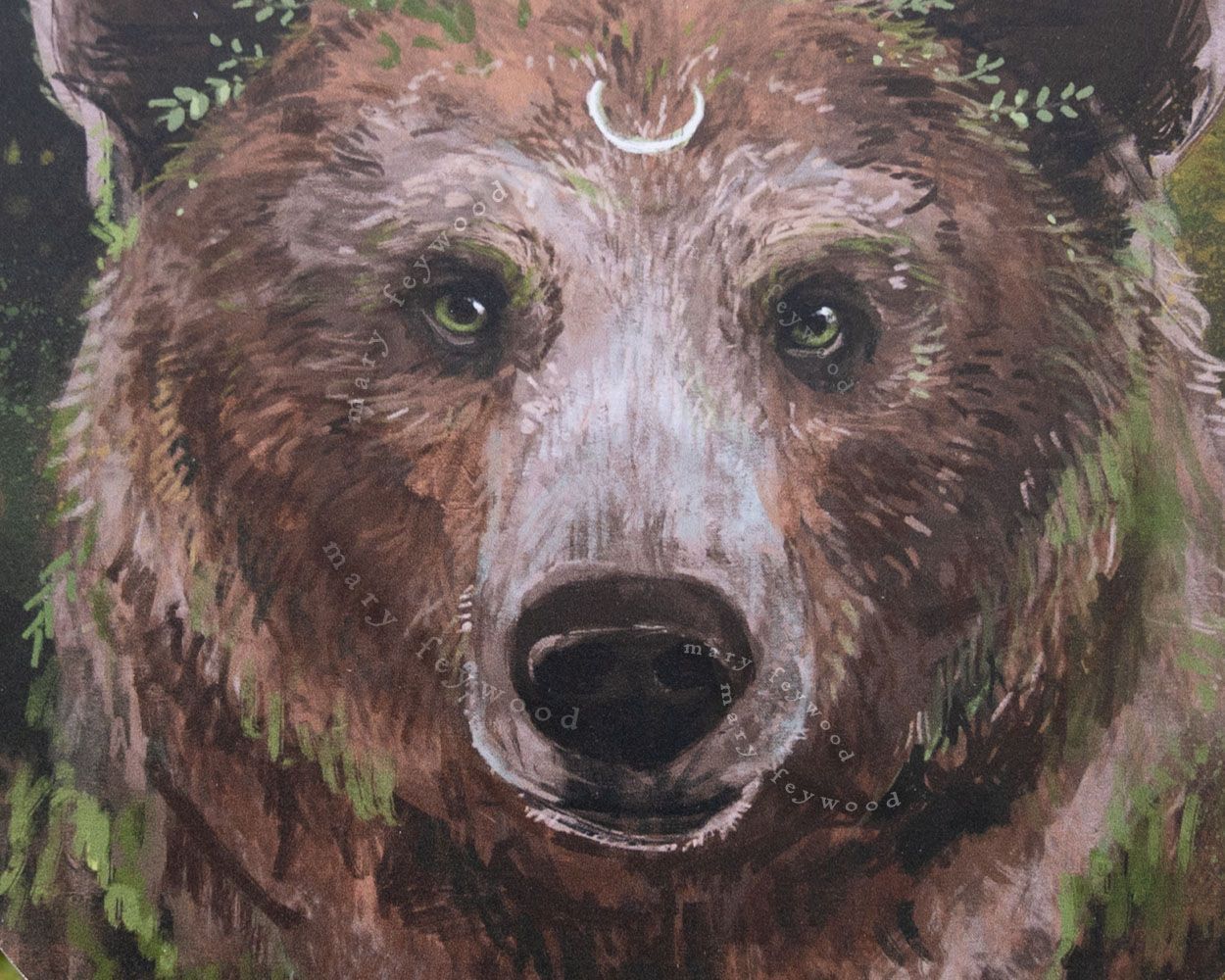 Art circle - Forest Bear