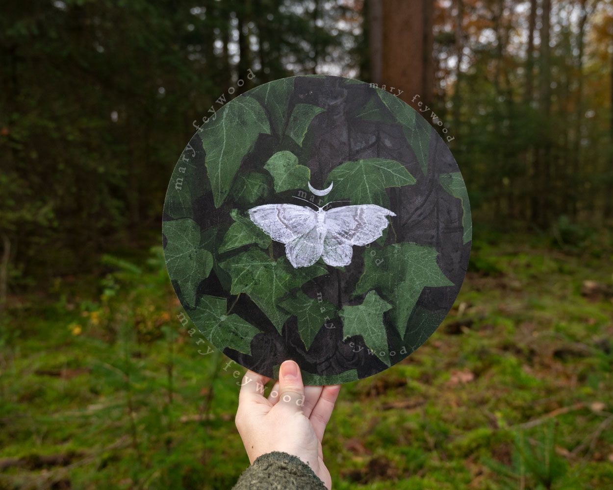 Art circle - Small White Wave (Asthena Albulata)