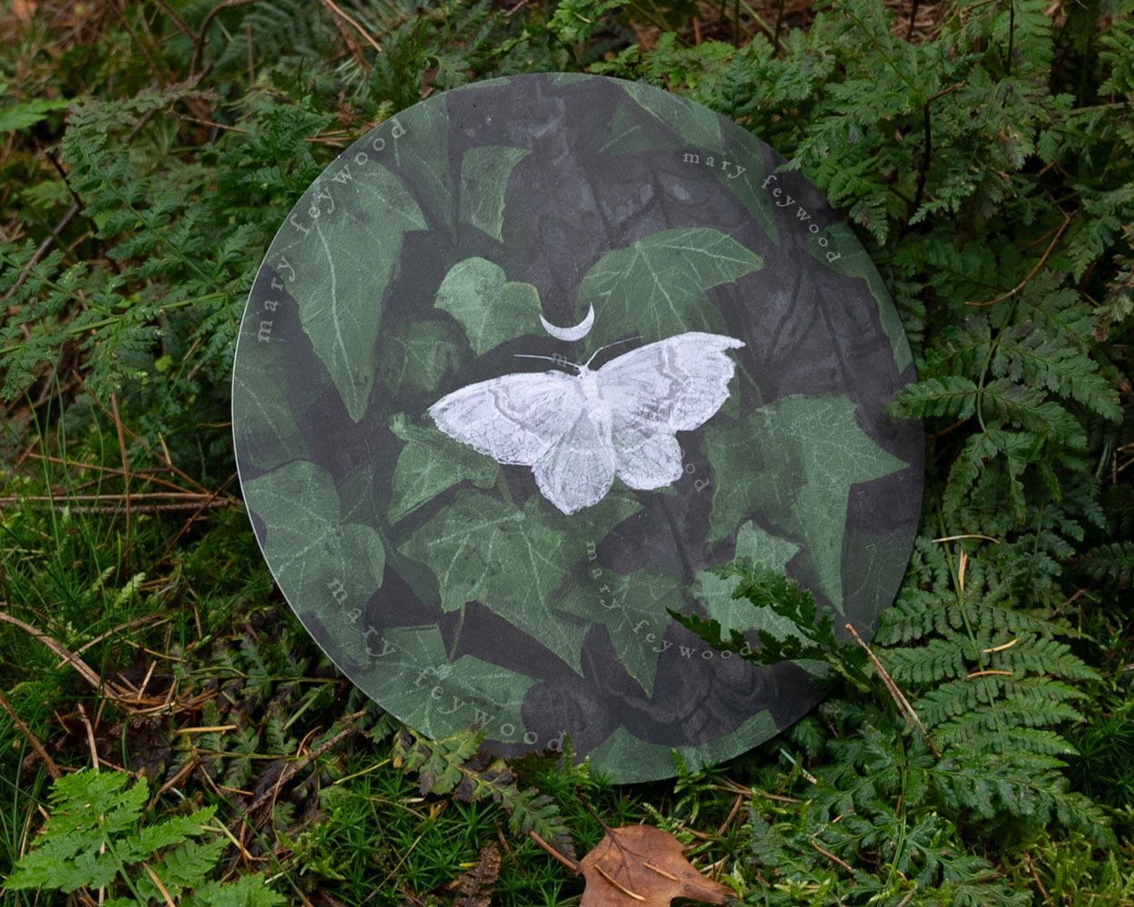 Art circle - Small White Wave (Asthena Albulata)