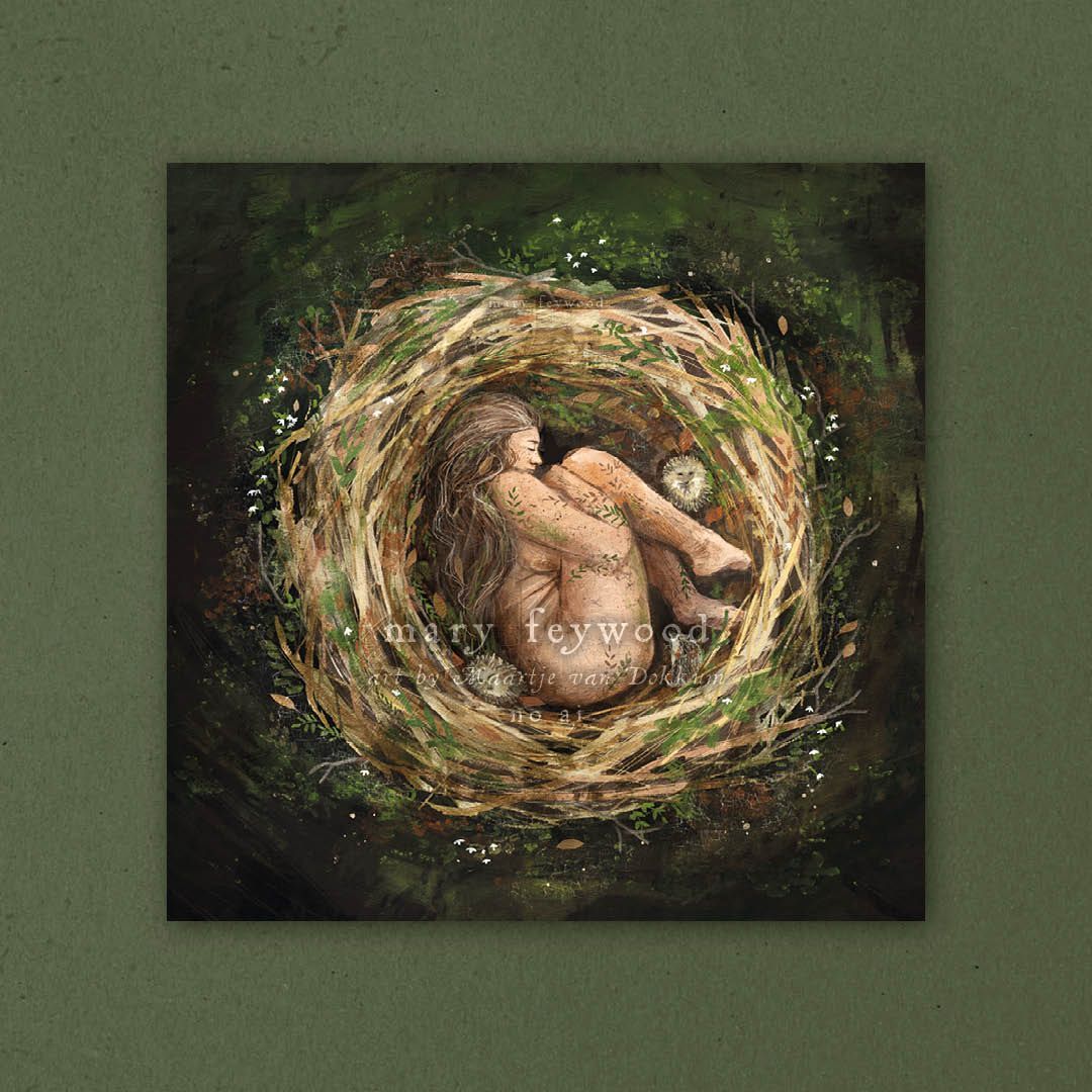 Limited Edition Art print - Bird Nest