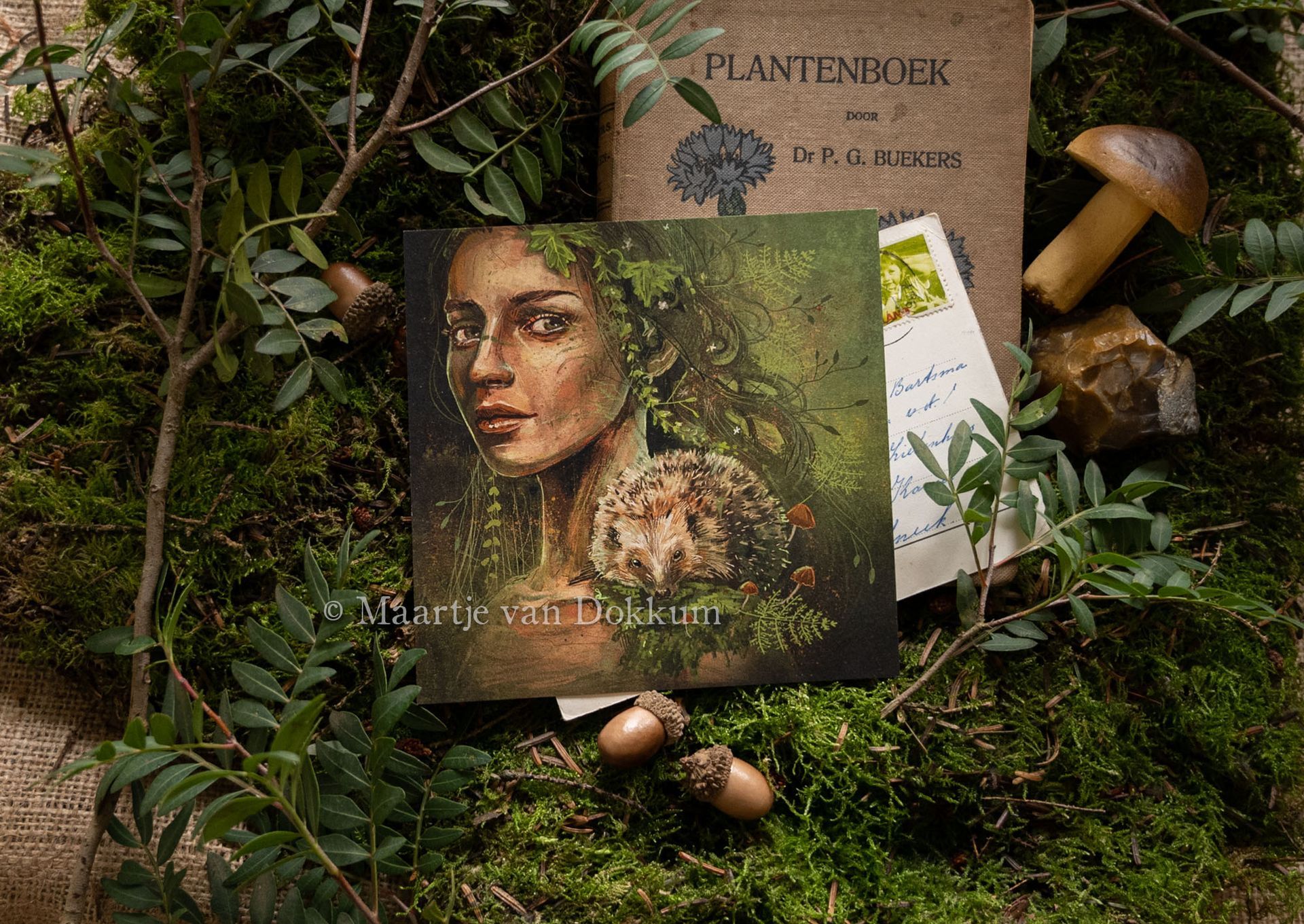 Limited Edition Art print - The elf and the hedgehog