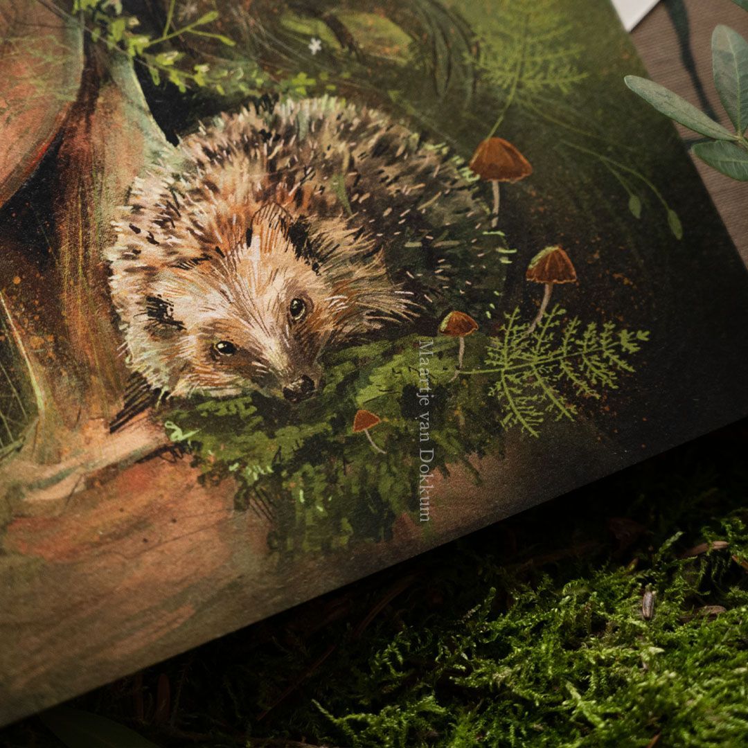 Limited Edition Art print - The elf and the hedgehog