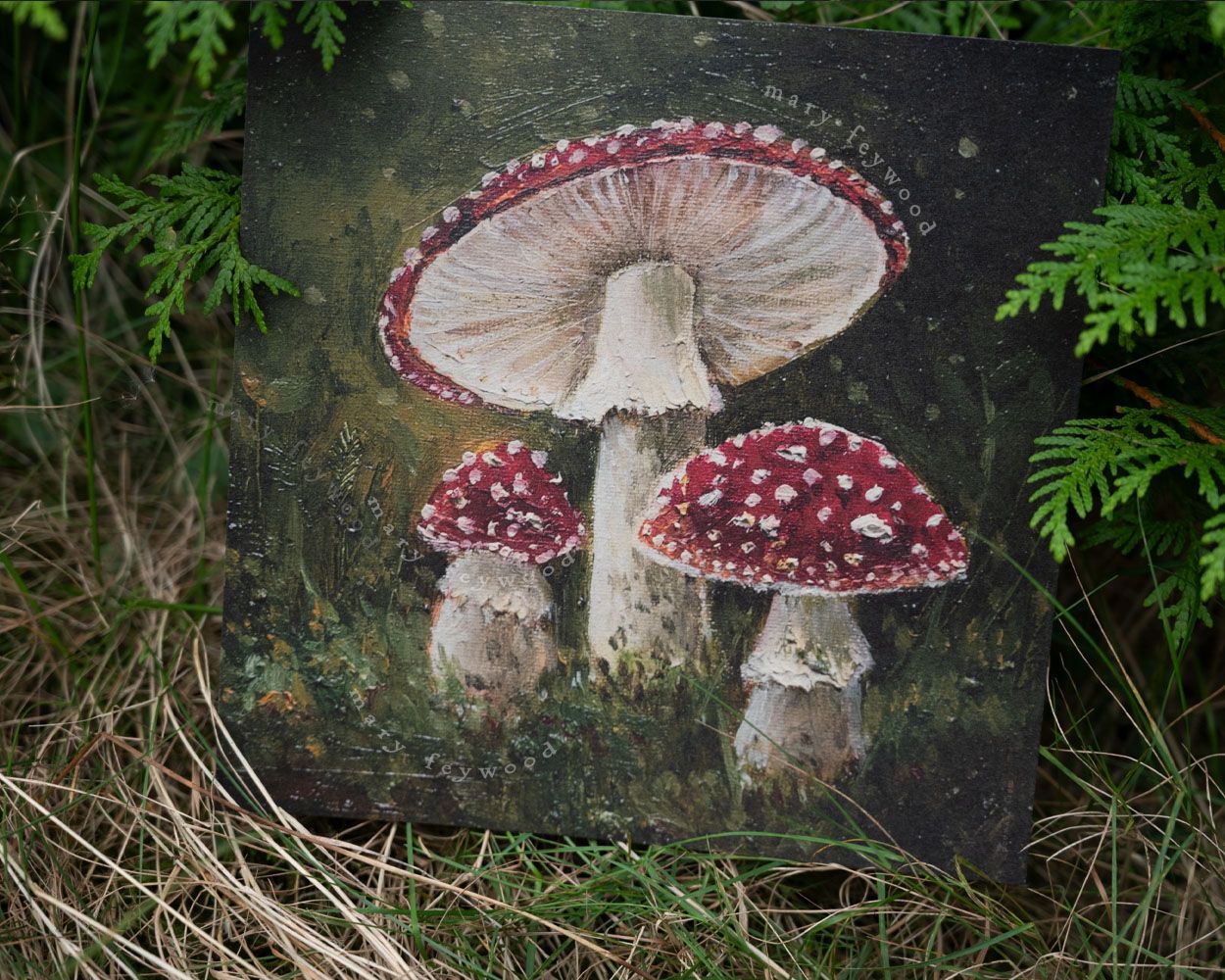 Art print - Amanita Muscaria Mushrooms
