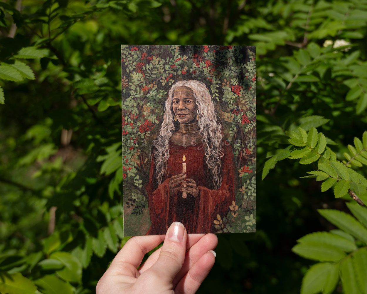 Limited Edition art print - The Rowan Crone