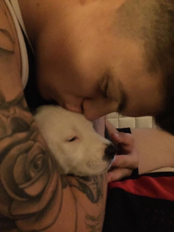 A woman with a tattoo on her arm kisses a white dog