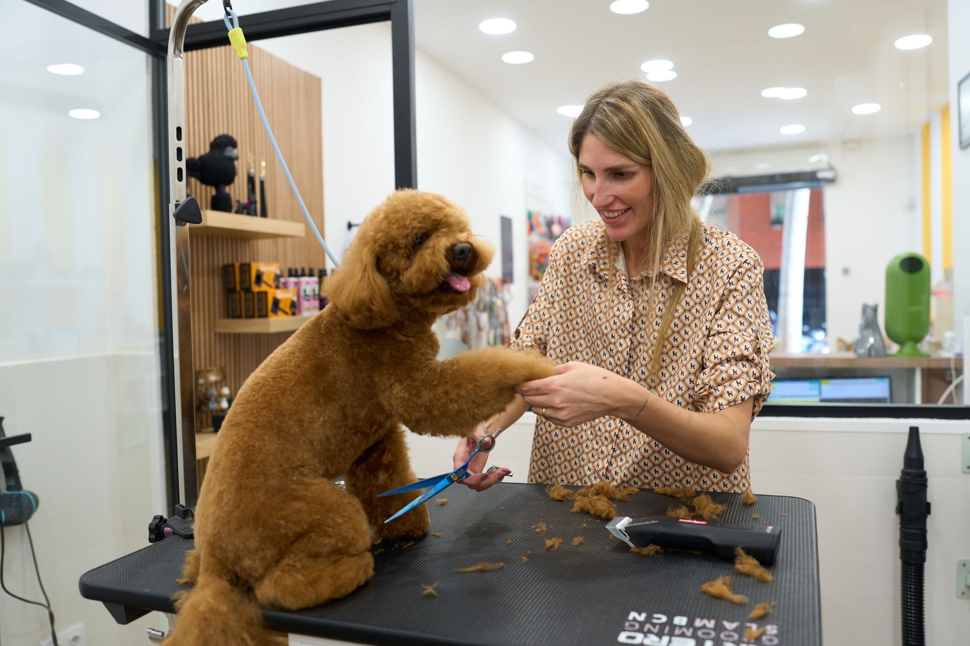 A woman grooming a brown poodle on a grooming table in a pet shop.