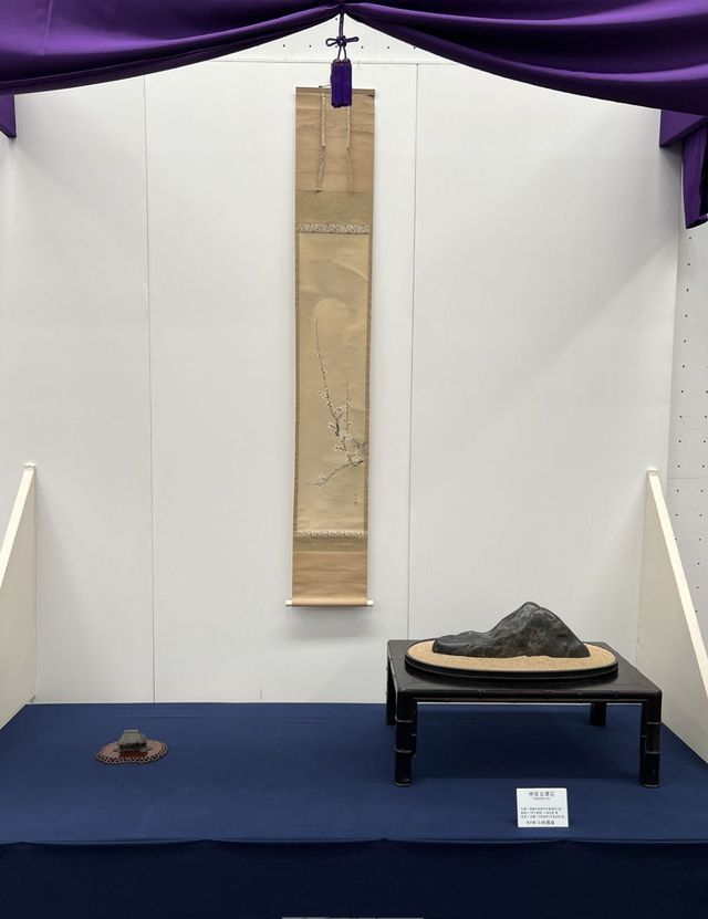 Impressions of the 62nd Meihinten (Japanese Suiseki Masterpieces)