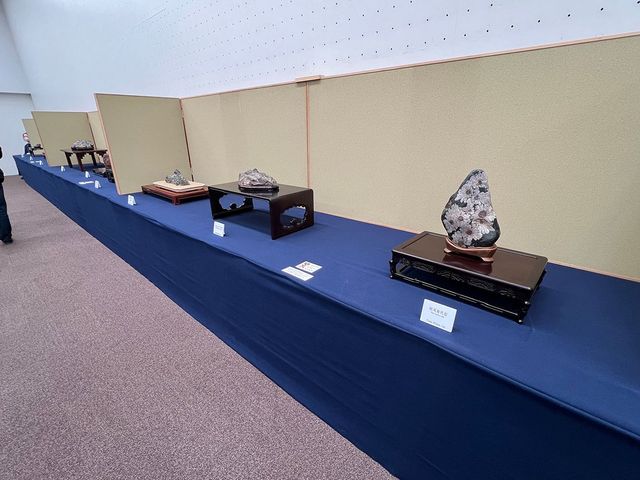 Impressions of the 62nd Meihinten (Japanese Suiseki Masterpieces)