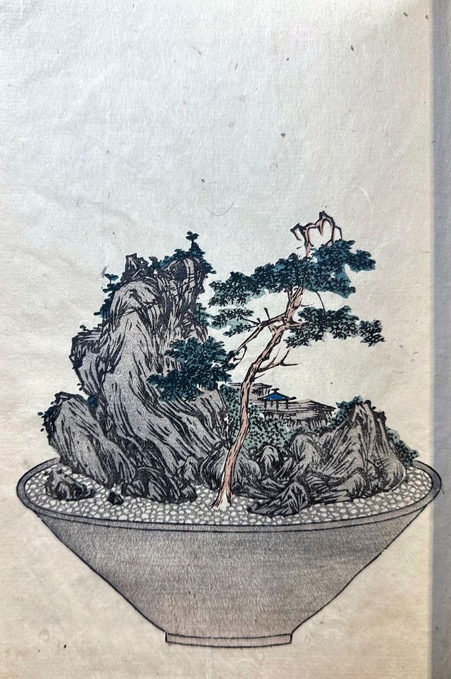 Evolution of Tray Landscapes in Early 19th Century Japan Based
