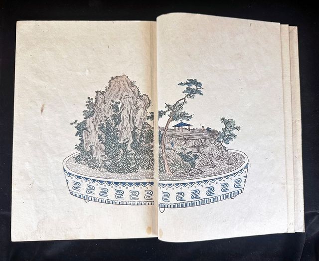 Evolution of Tray Landscapes in Early 19th Century Japan Based