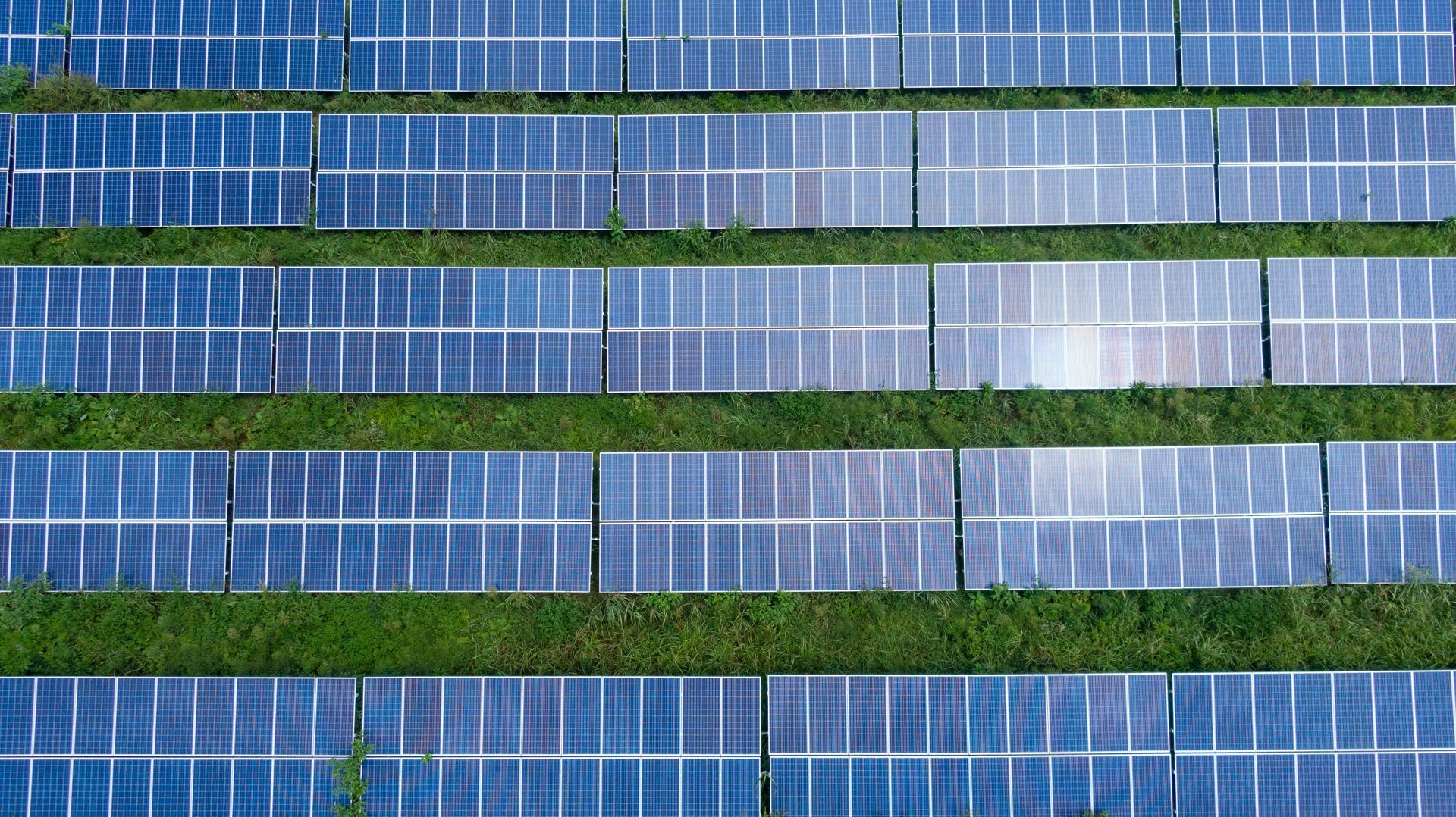 Solar panels arranged in rows on a grassy field, reflecting blue sky.