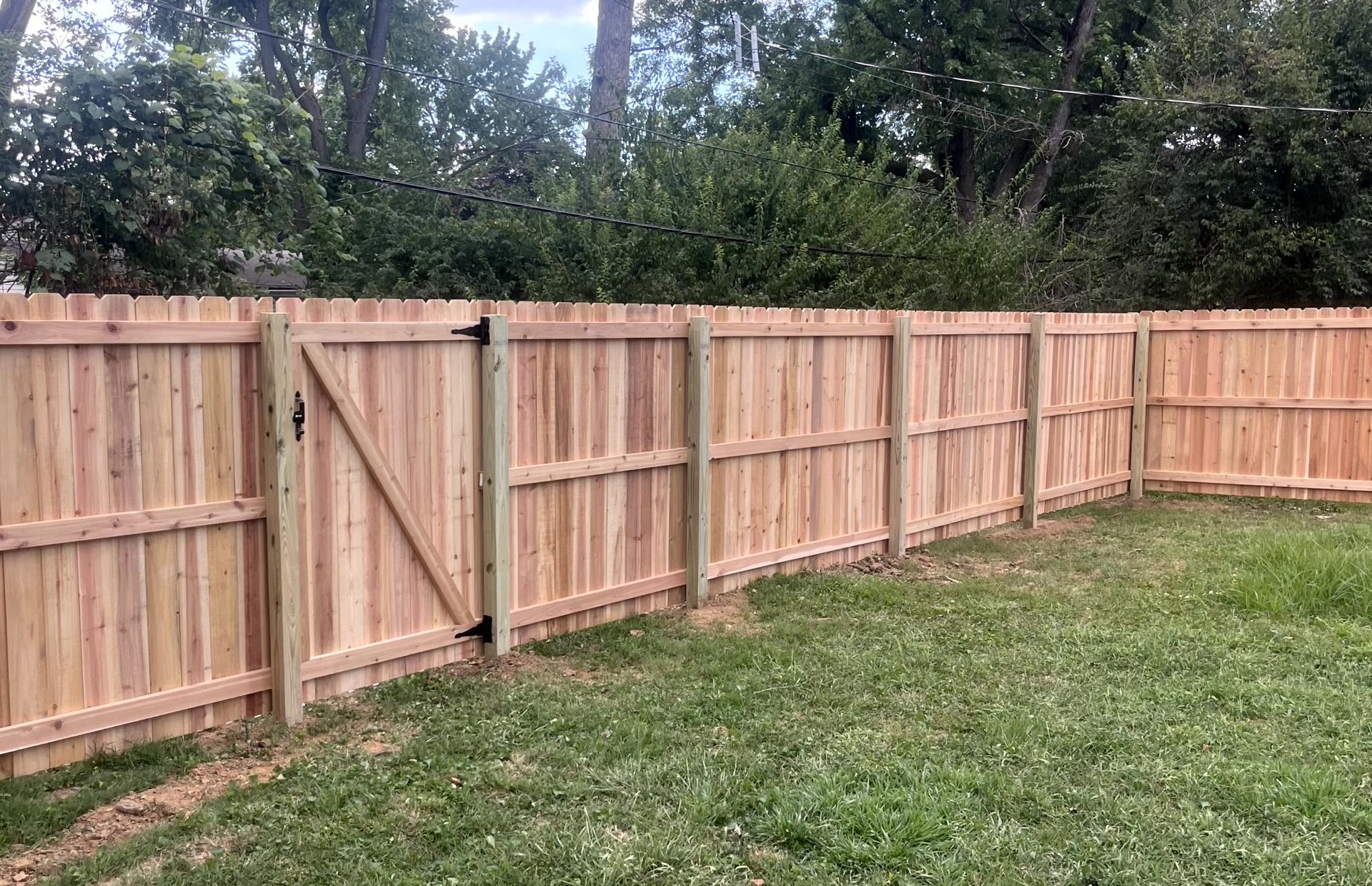 Wood fence with single walk gate installed in a residential yard