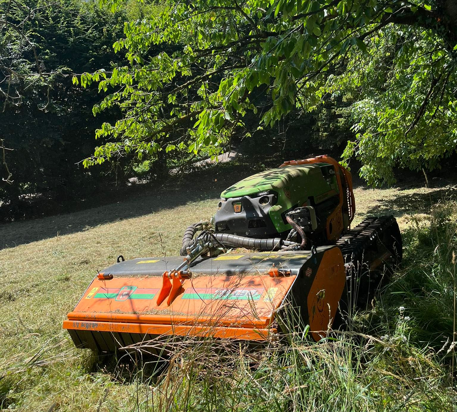 sfalcio e bonifica terreni