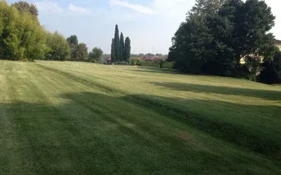 costruzione aree verdi