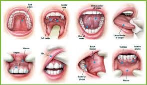 Oral Cancer Screening, Saugus, MA