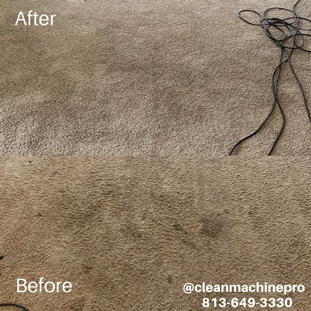 Carpet before and after cleaning, revealing the significant stain removal.