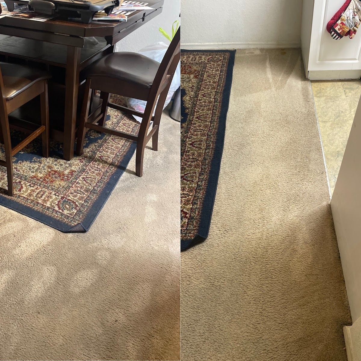 Dining room with table, chairs, and rug on carpet, showing clean carpet beside the rug.