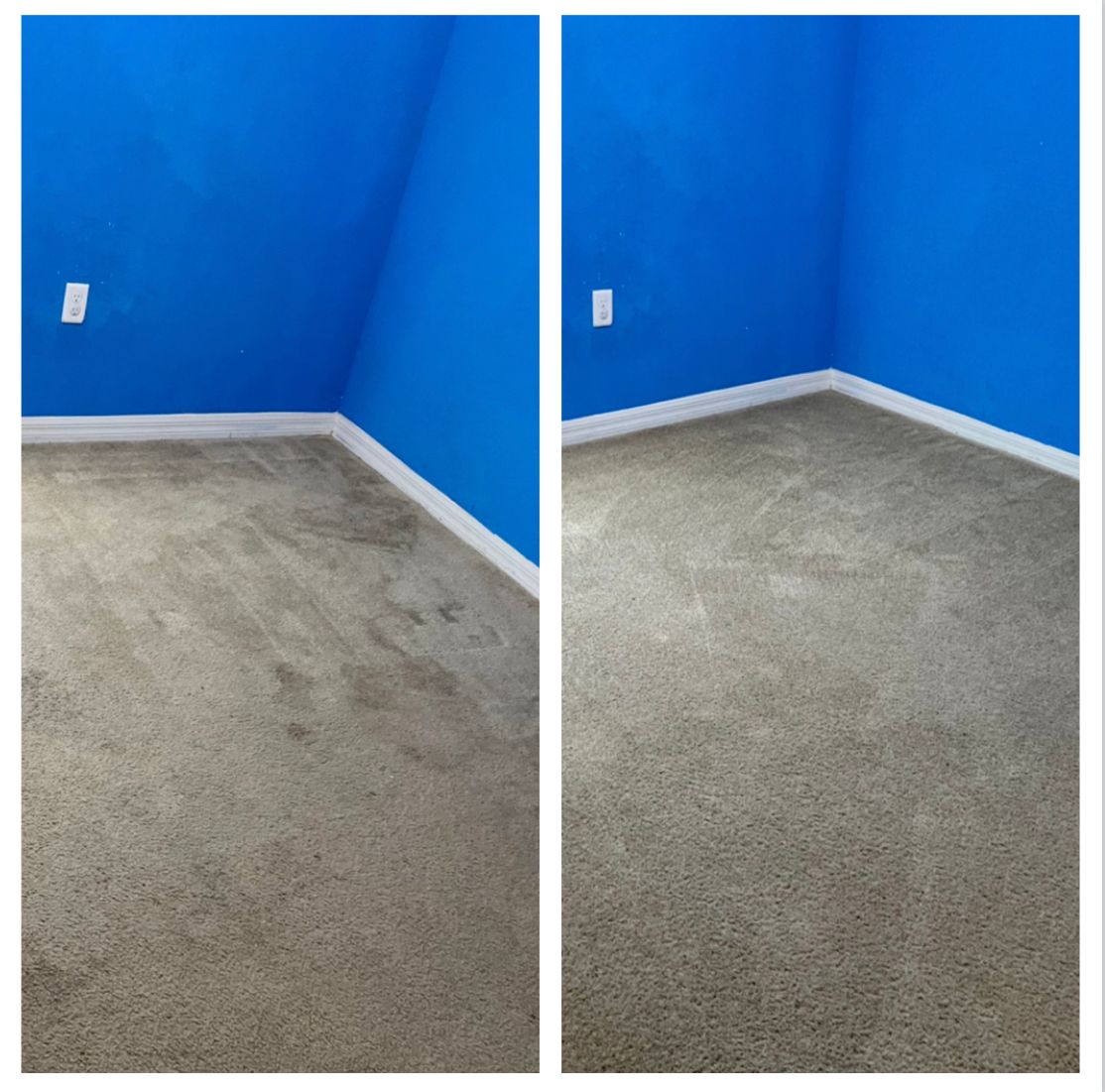 Before-and-after comparison shows a carpeted room cleaned, removing dark stains. Blue walls, white trim.