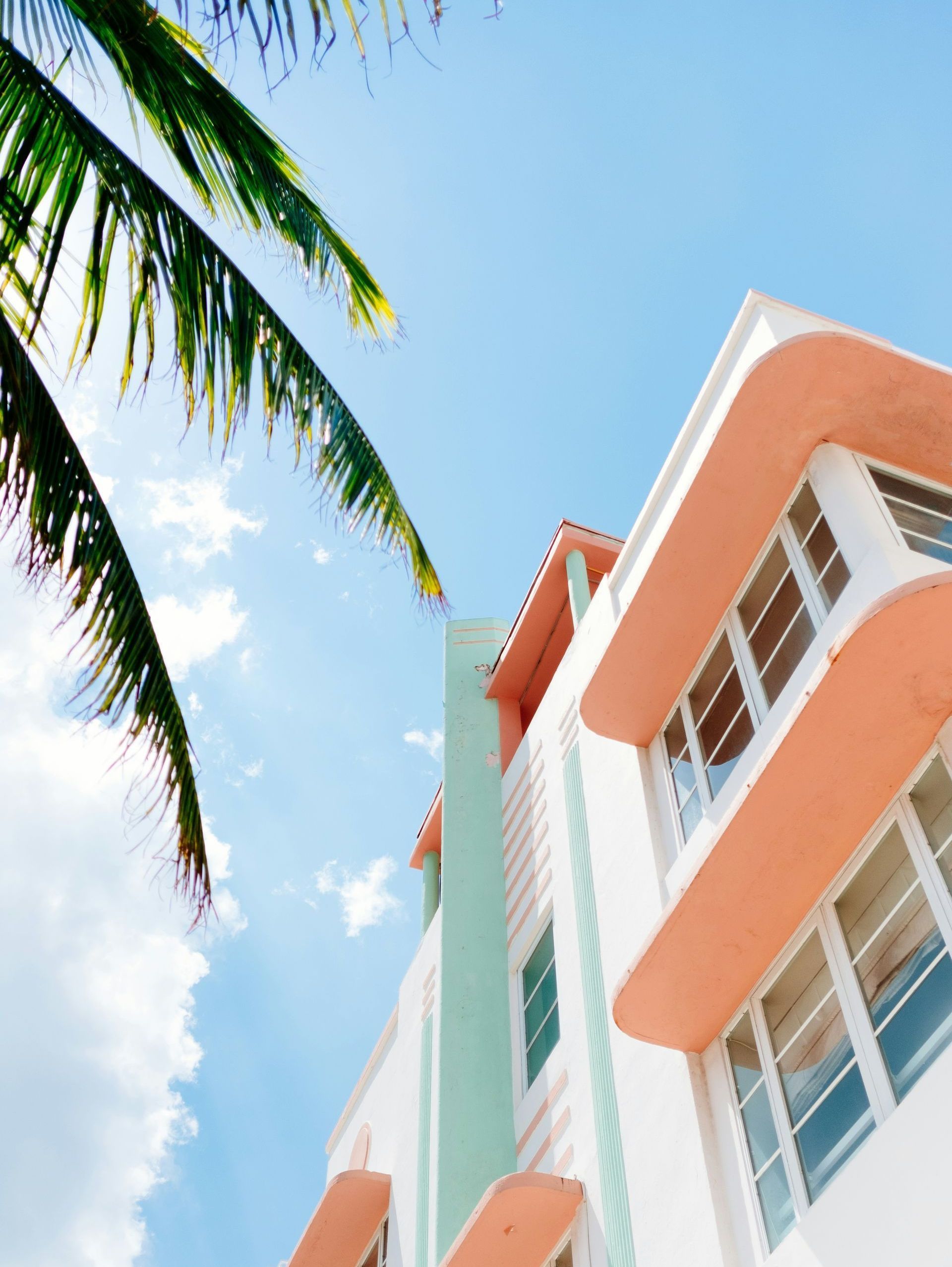 Looking up at a building with a palm tree in the foreground