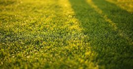 A shadow of a person is cast on a lush green field of grass.