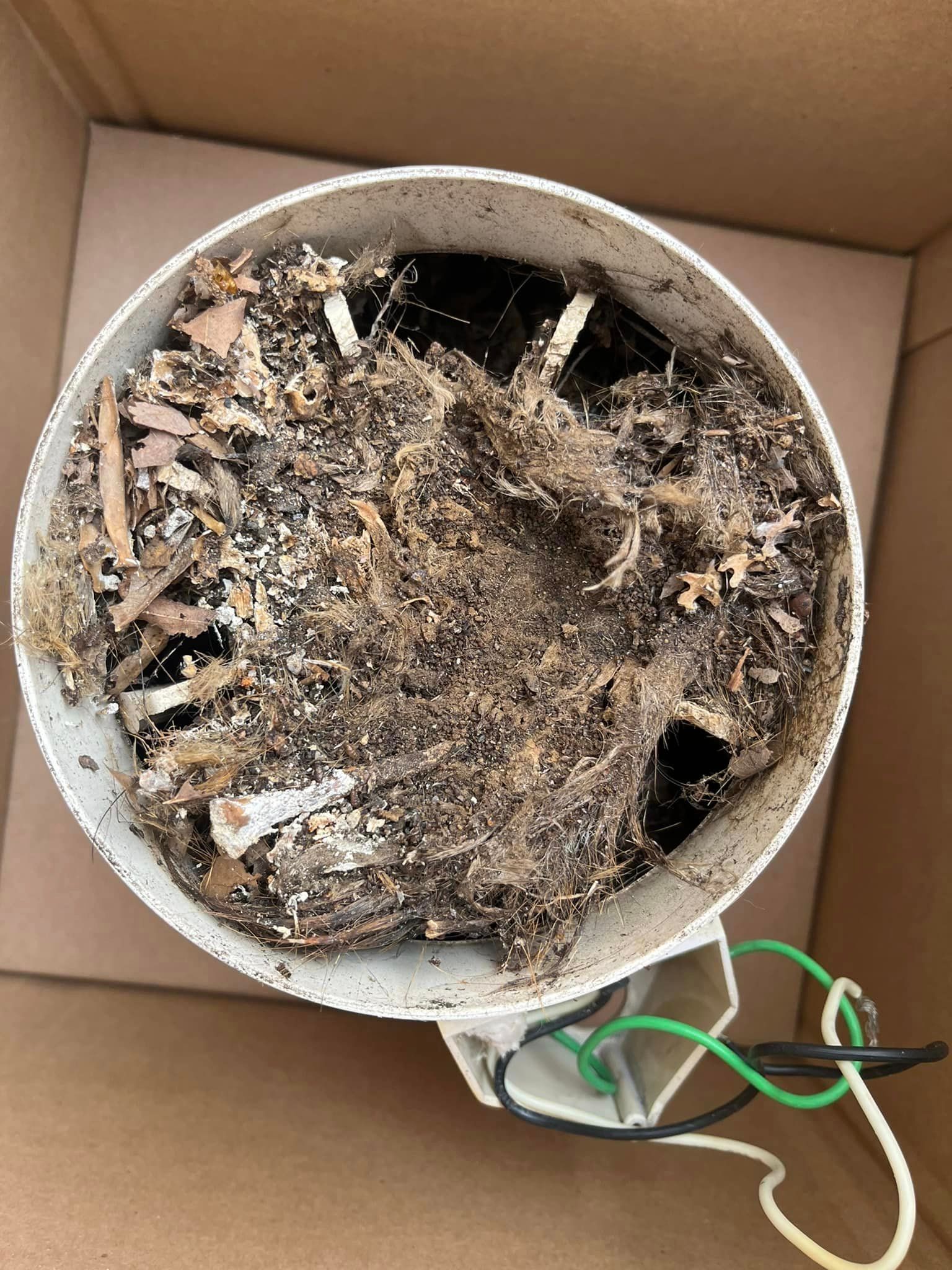 A white bowl filled with dirt and a green wire is sitting on top of a cardboard box.