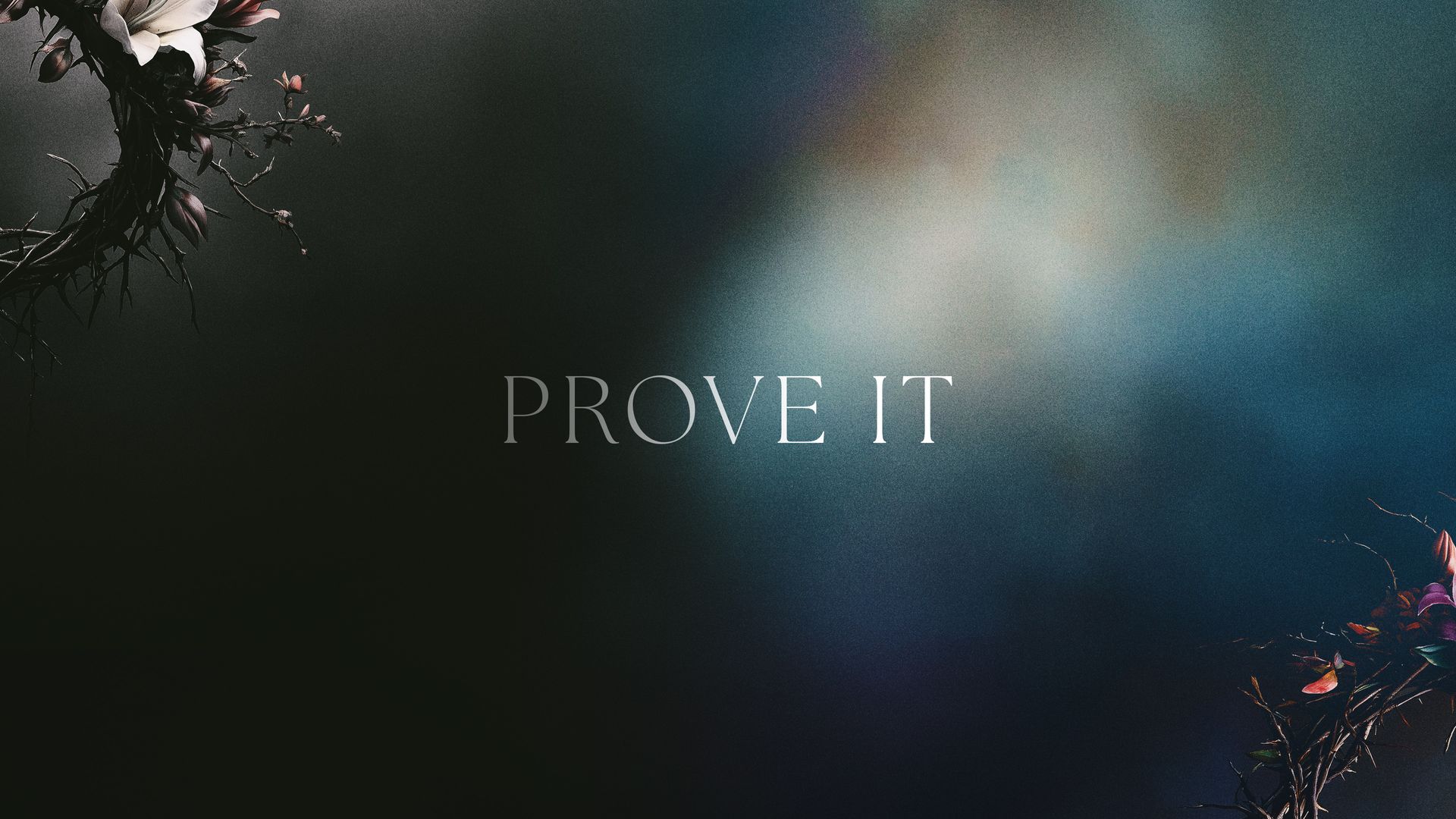 Prove It sermon series - Trusting the Bible and the Story of Jesus - New Hope Wylie 2026