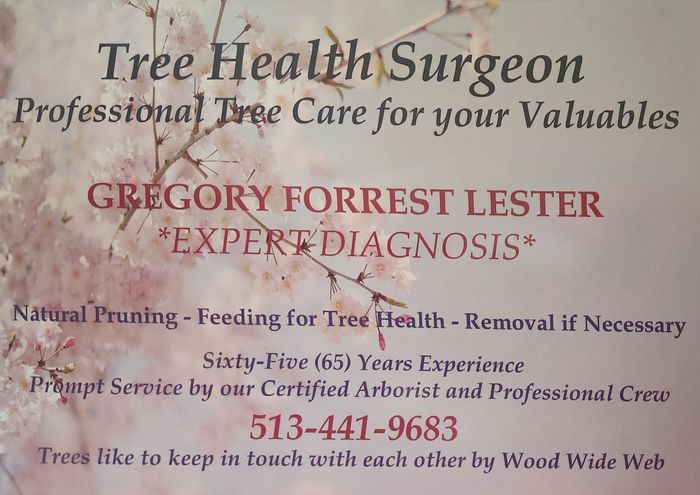 tree health surgeon expert diagnosis