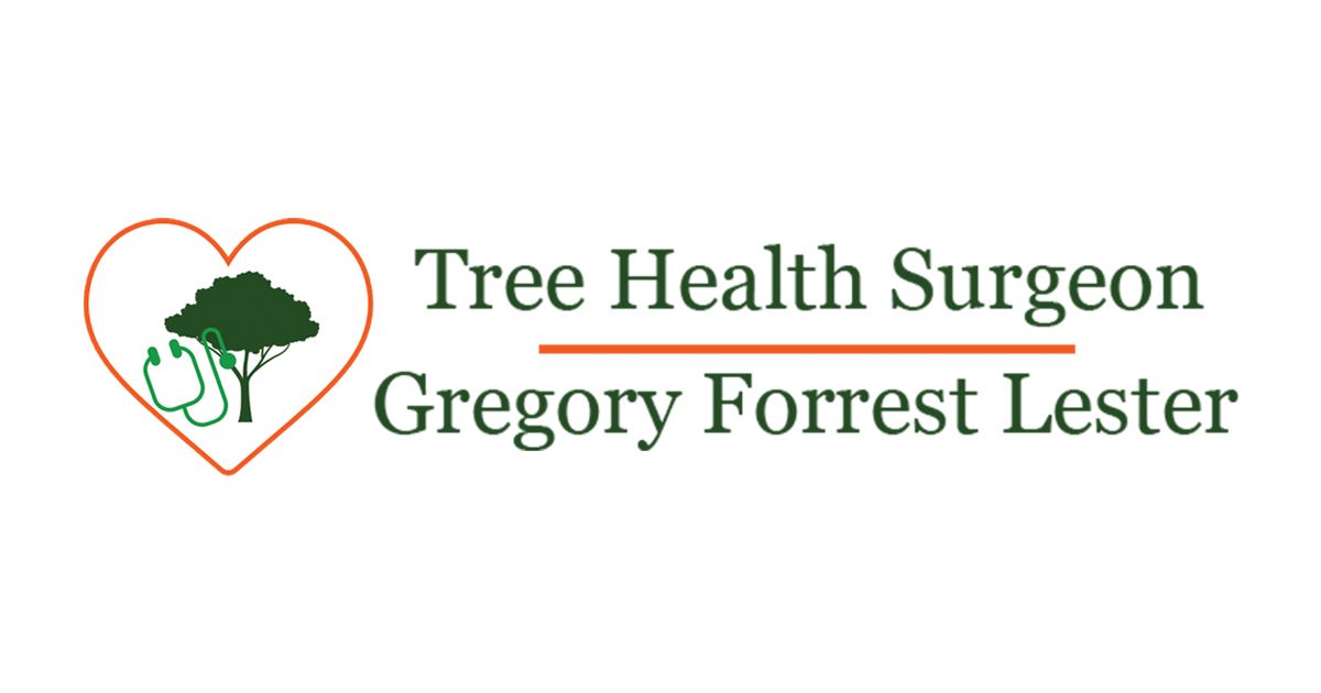 Professional Arborist & Tree Company Tree Health Surgeon