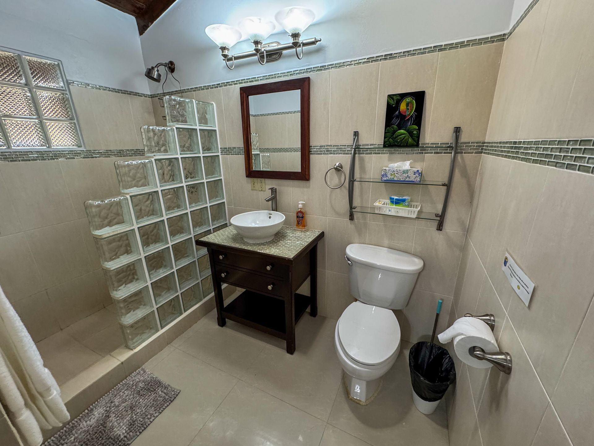 A bathroom with a toilet , sink , mirror and shower, Caribbean Shores B&B, Hopkins Village