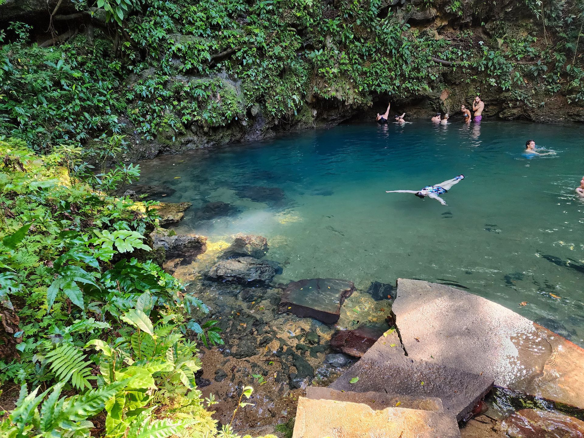 A group of people are swimming in a small pond surrounded by trees.
