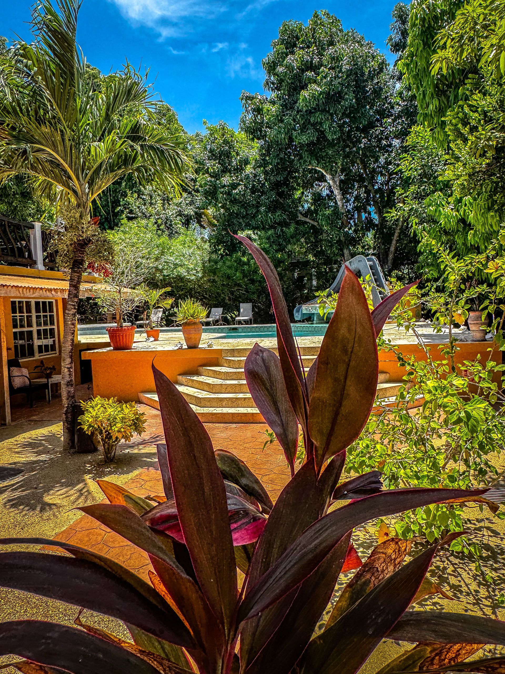crystal-clear pool at Caribbean Shores B&B in Hopkins Village, Belize.