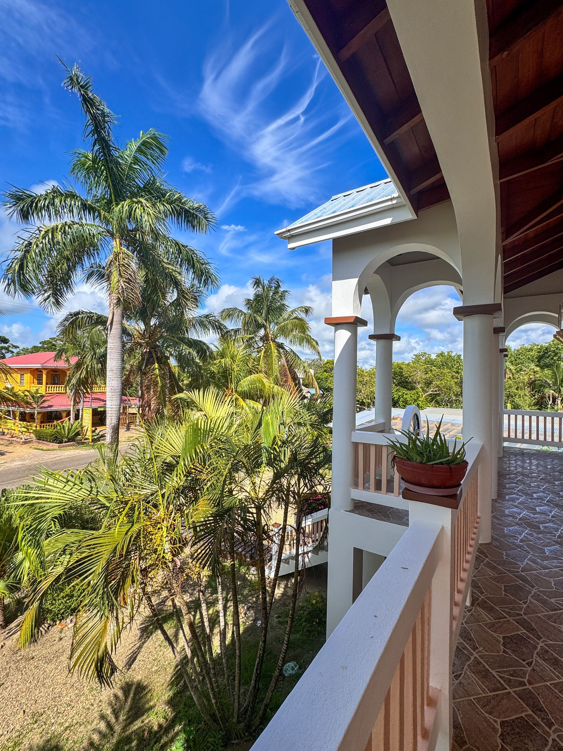 Garden view at the two bedroom apartment in Hopkins Village, Belize 