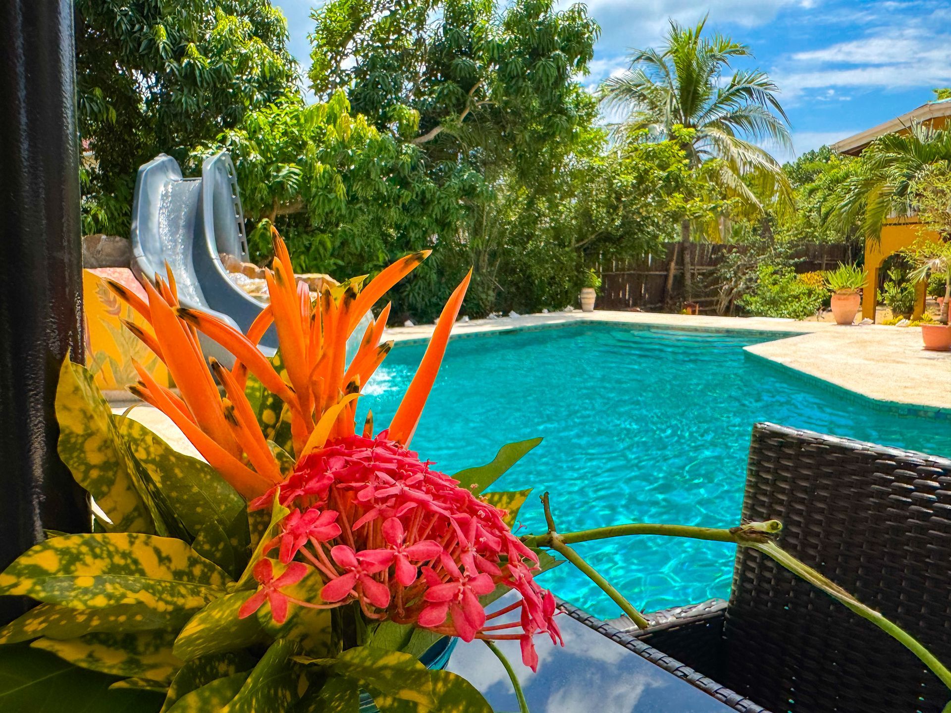 A swimming pool with a slide and flowers in the foreground