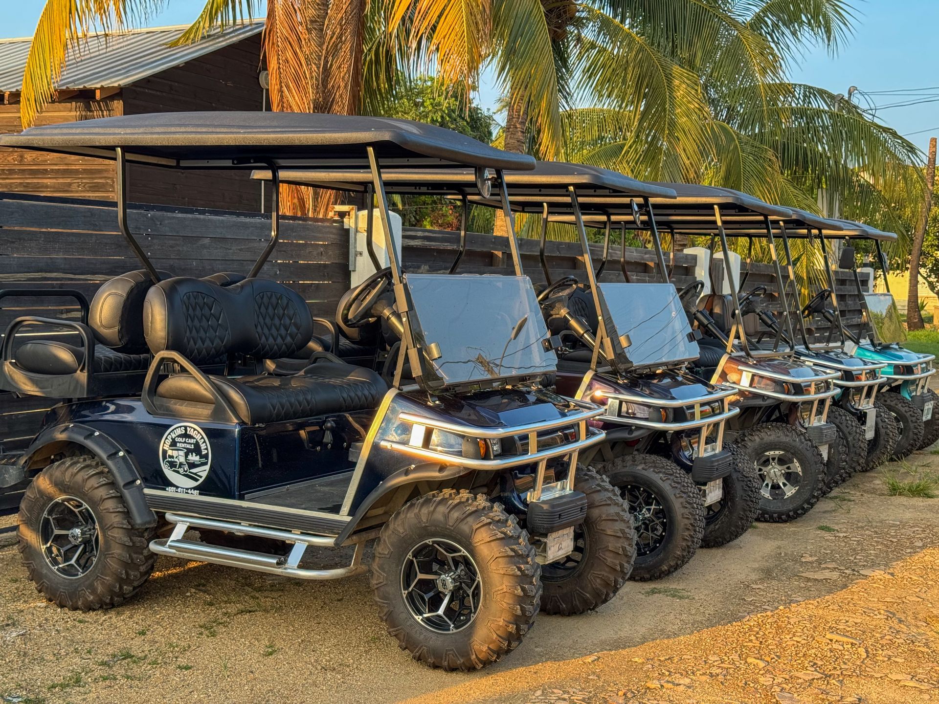 A row of golf carts parked next to each other on a dirt road.