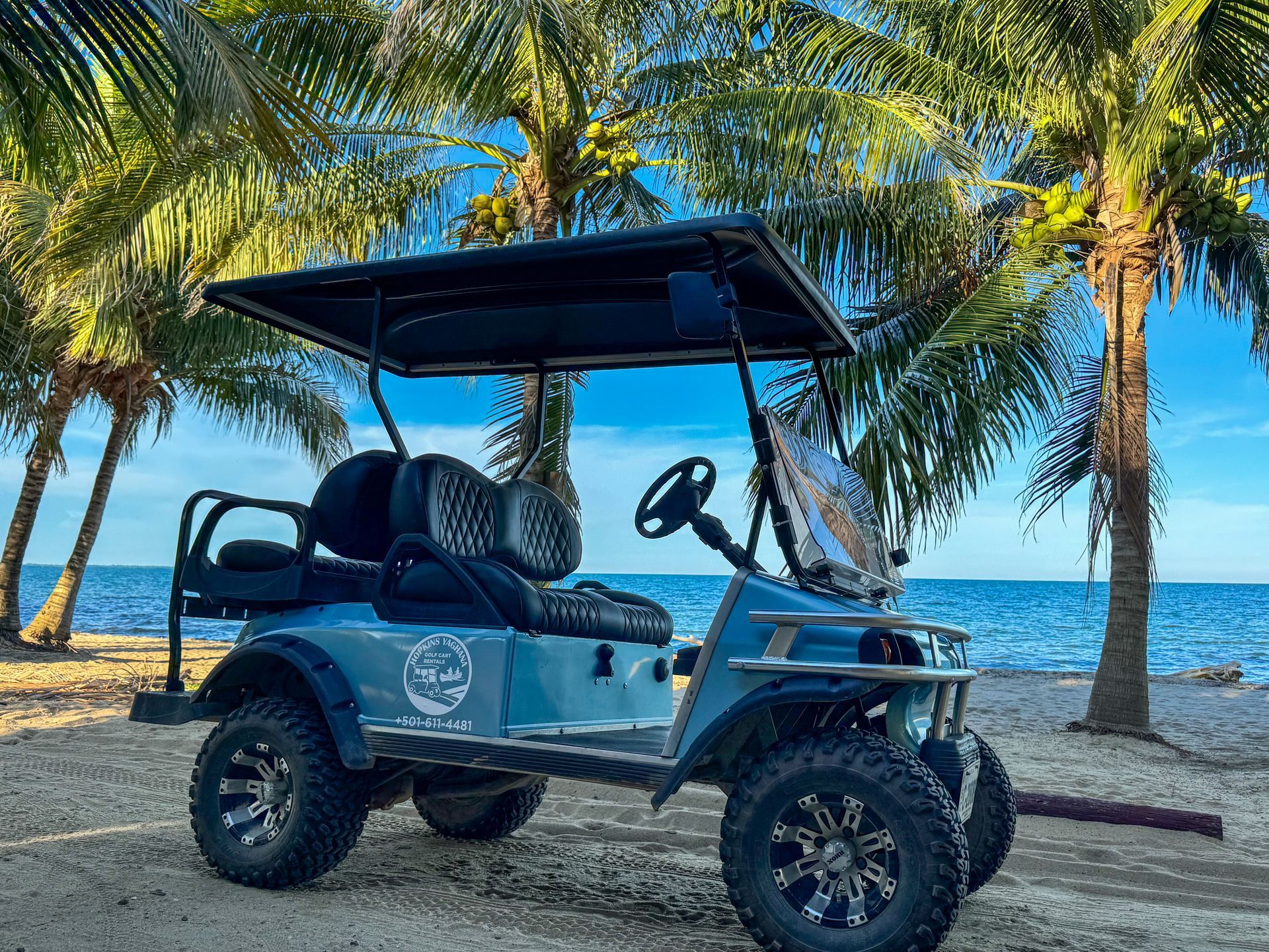 A golf cart is parked on the beach next to palm trees.