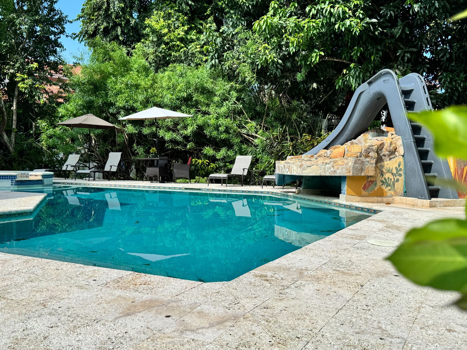 A large swimming pool with a slide in the backyard