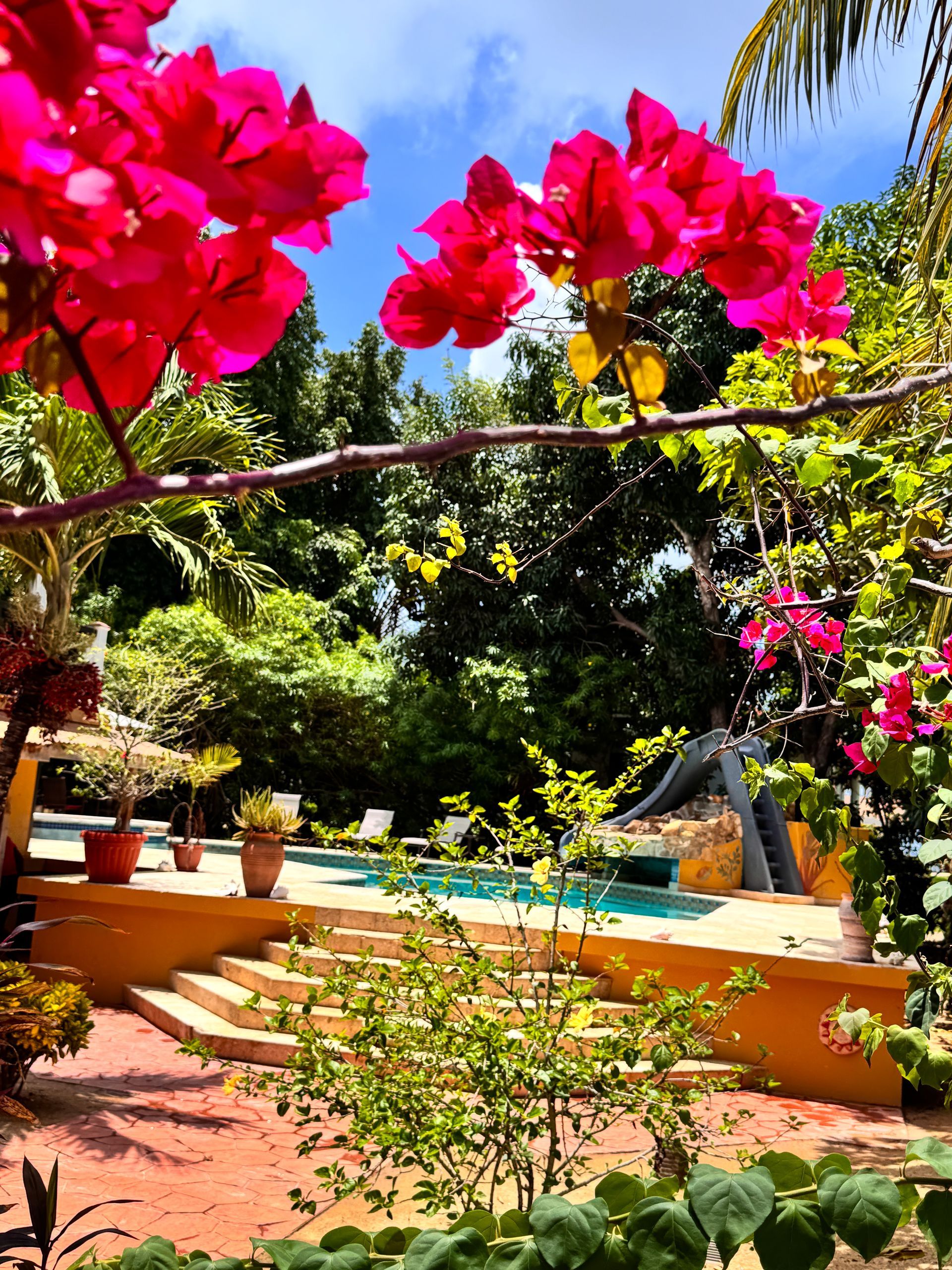 The pool at Caribbean Shores B&B, Hopkins Village, Belize 
