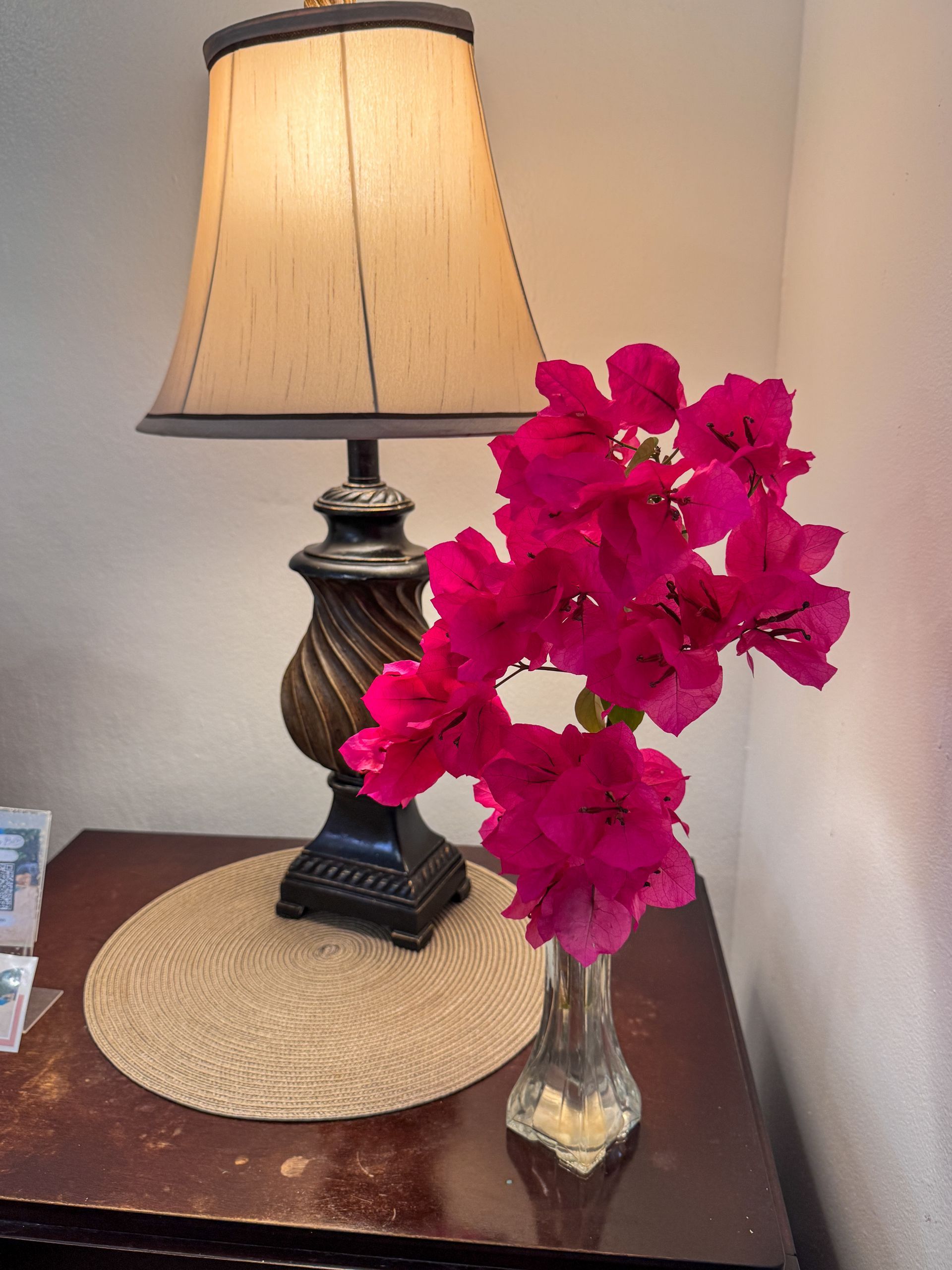 Cozy lamp at the queen room,  Caribbean Shores B&B, Hopkins Village 