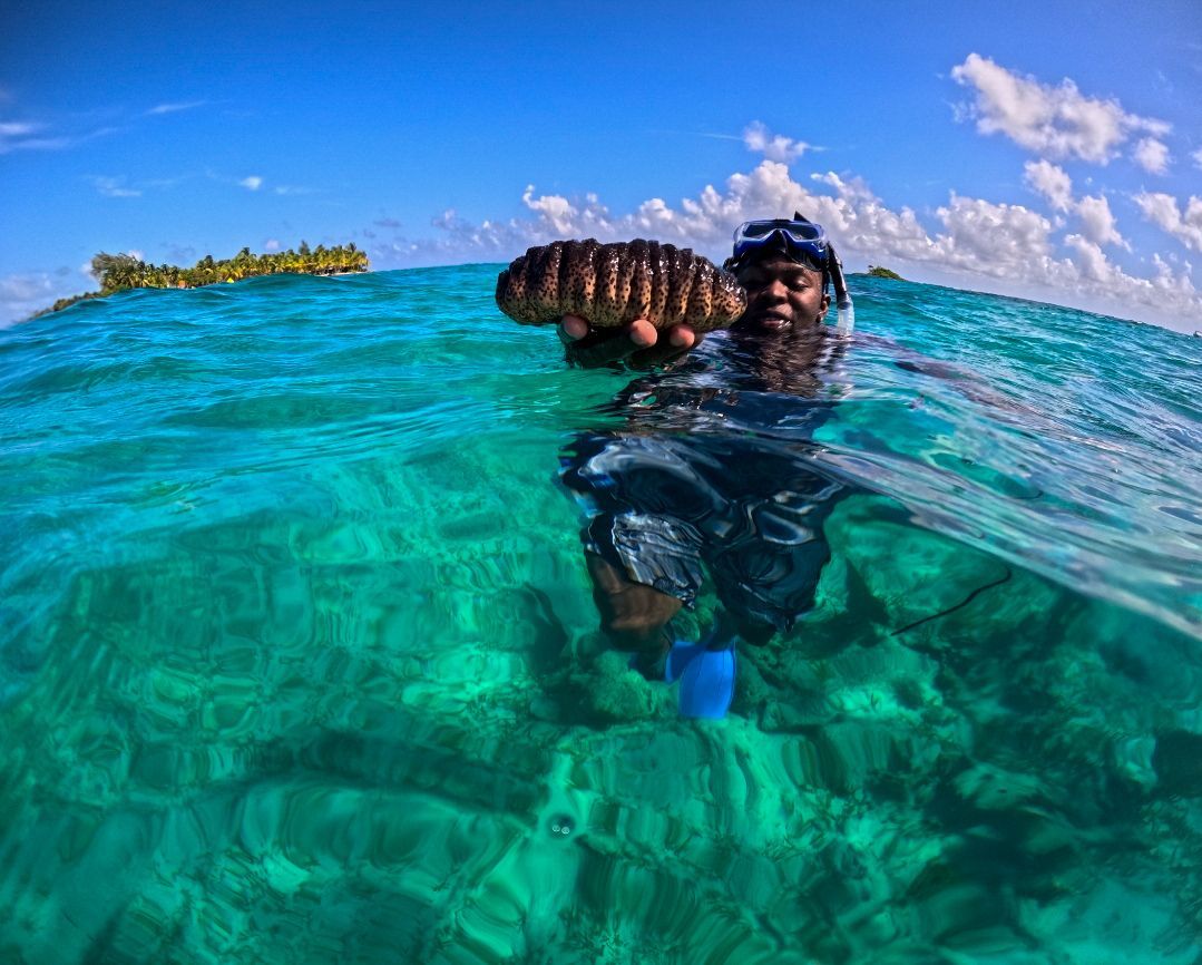 A man is swimming in the ocean holding a large rock.