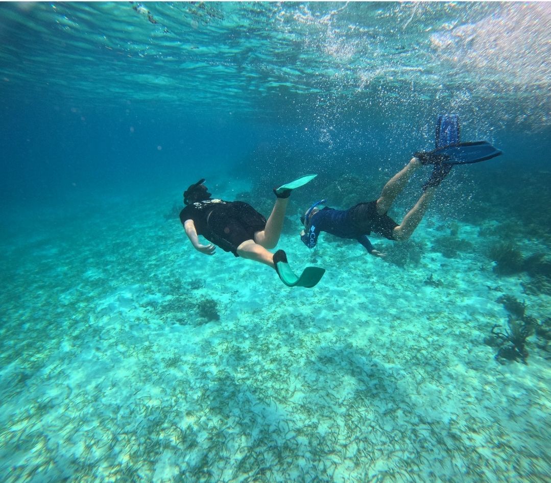 Two people are swimming underwater at a snorkeling tour at the Barrier Reef from Hopkins Village 