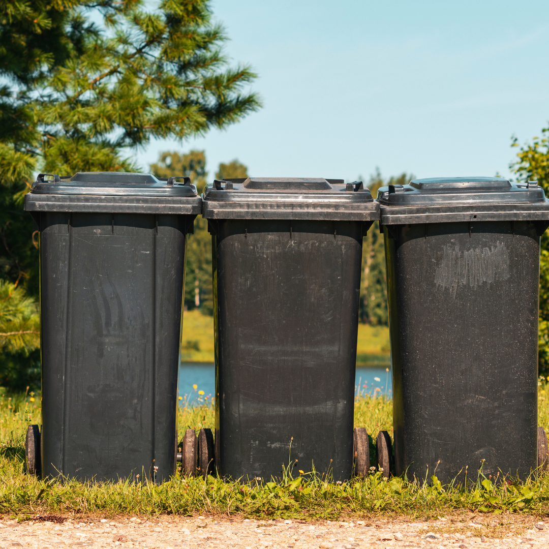 Dumpster Sanitation