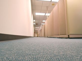 A hallway with cubicles and a blue carpet