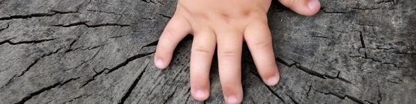 IMPREGNANTI E VERNICI