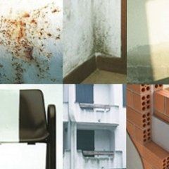 Problemi con vernice