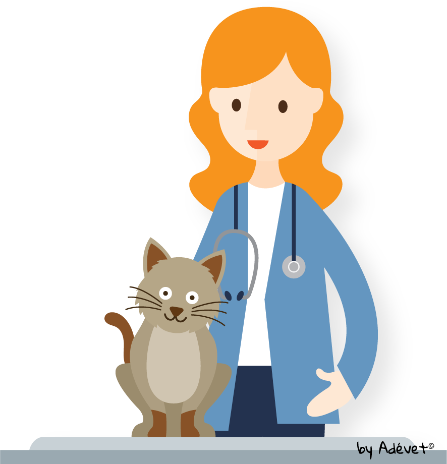 Vétérinaire avec stéthoscope et chat sur la table d'examen.