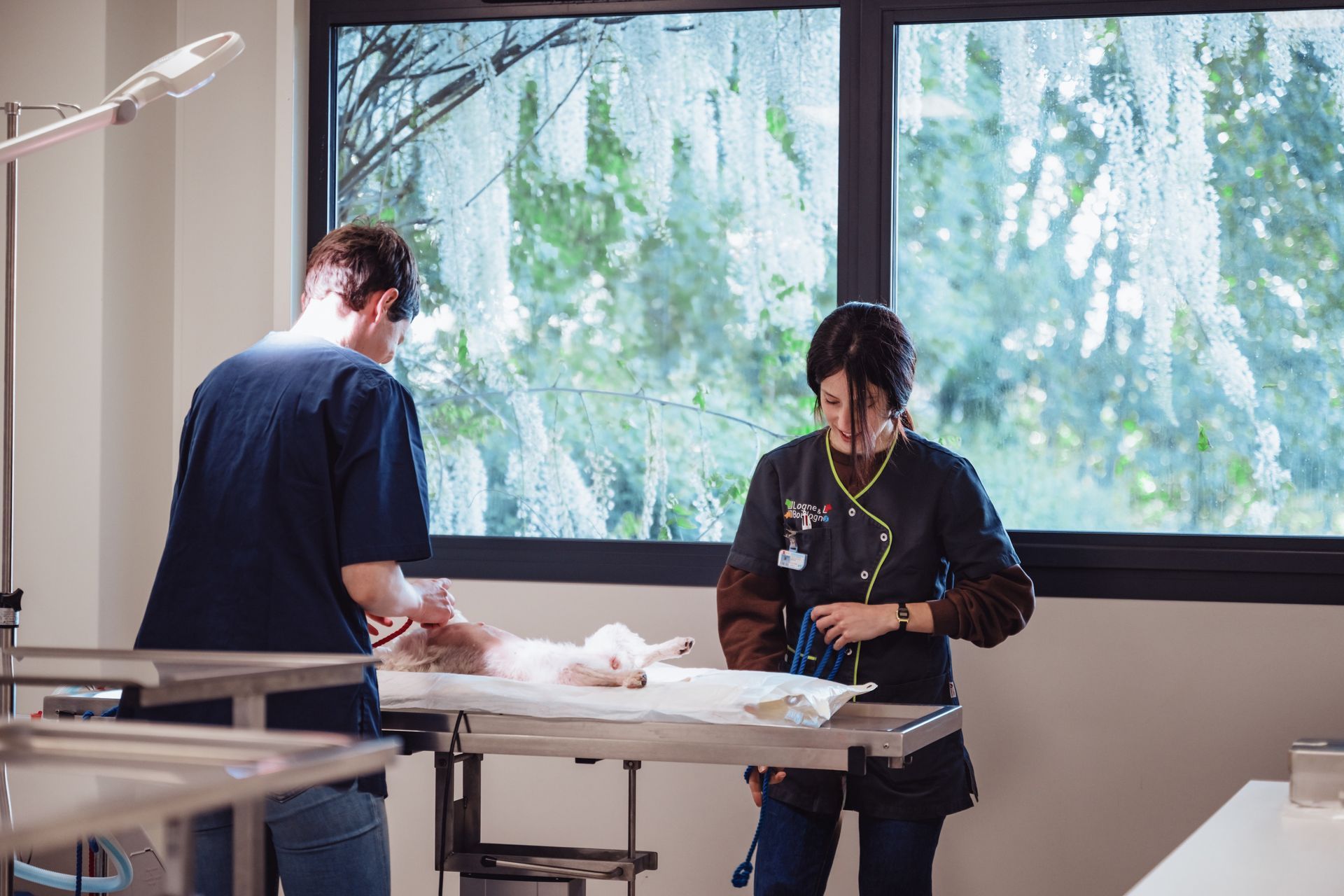 Deux vétérinaires examinent un petit animal sur une table en métal près d'une fenêtre.