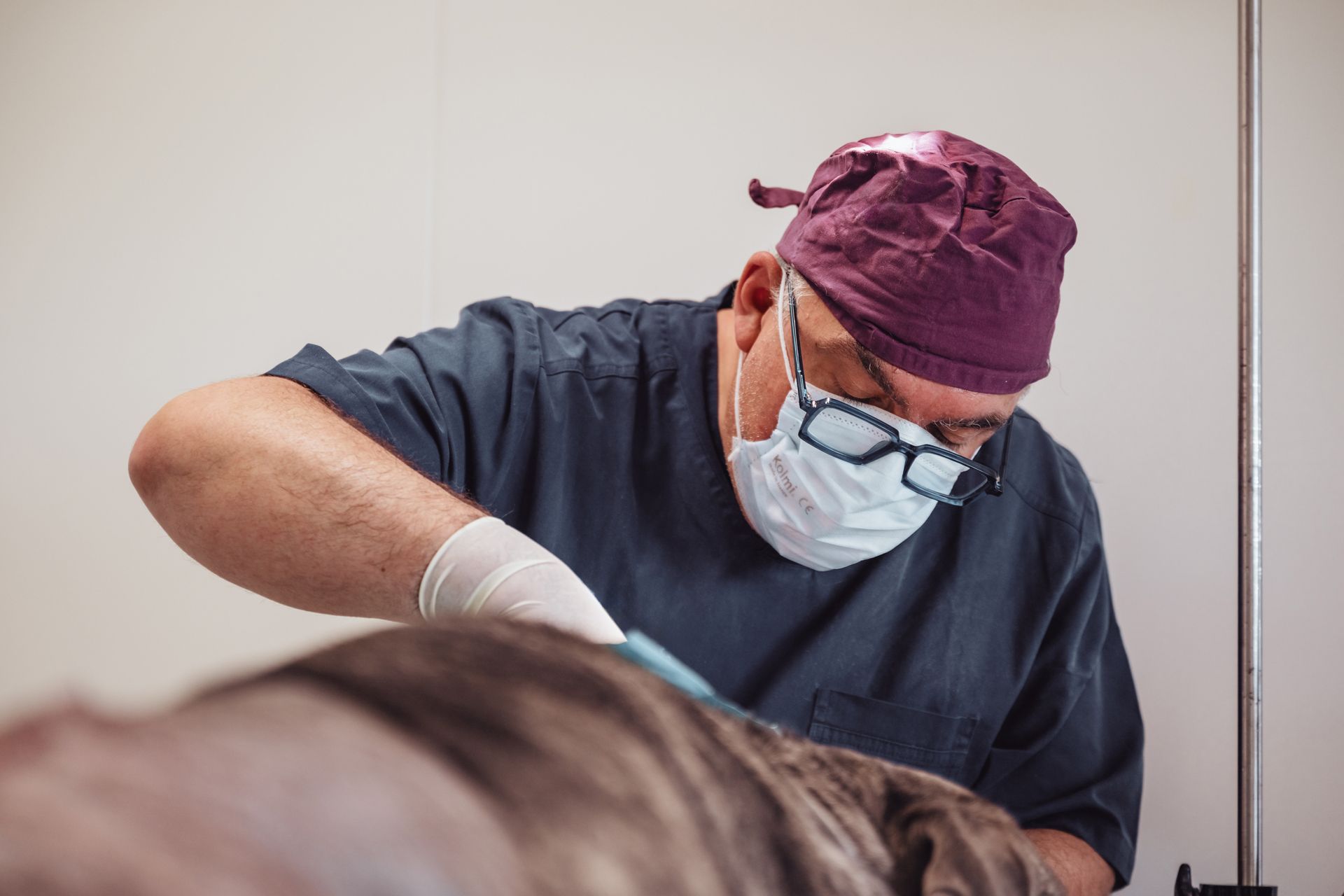 Vétérinaire en blouse, masque et charlotte examinant un animal ; gants blancs, expression concentrée, à l'intérieur.