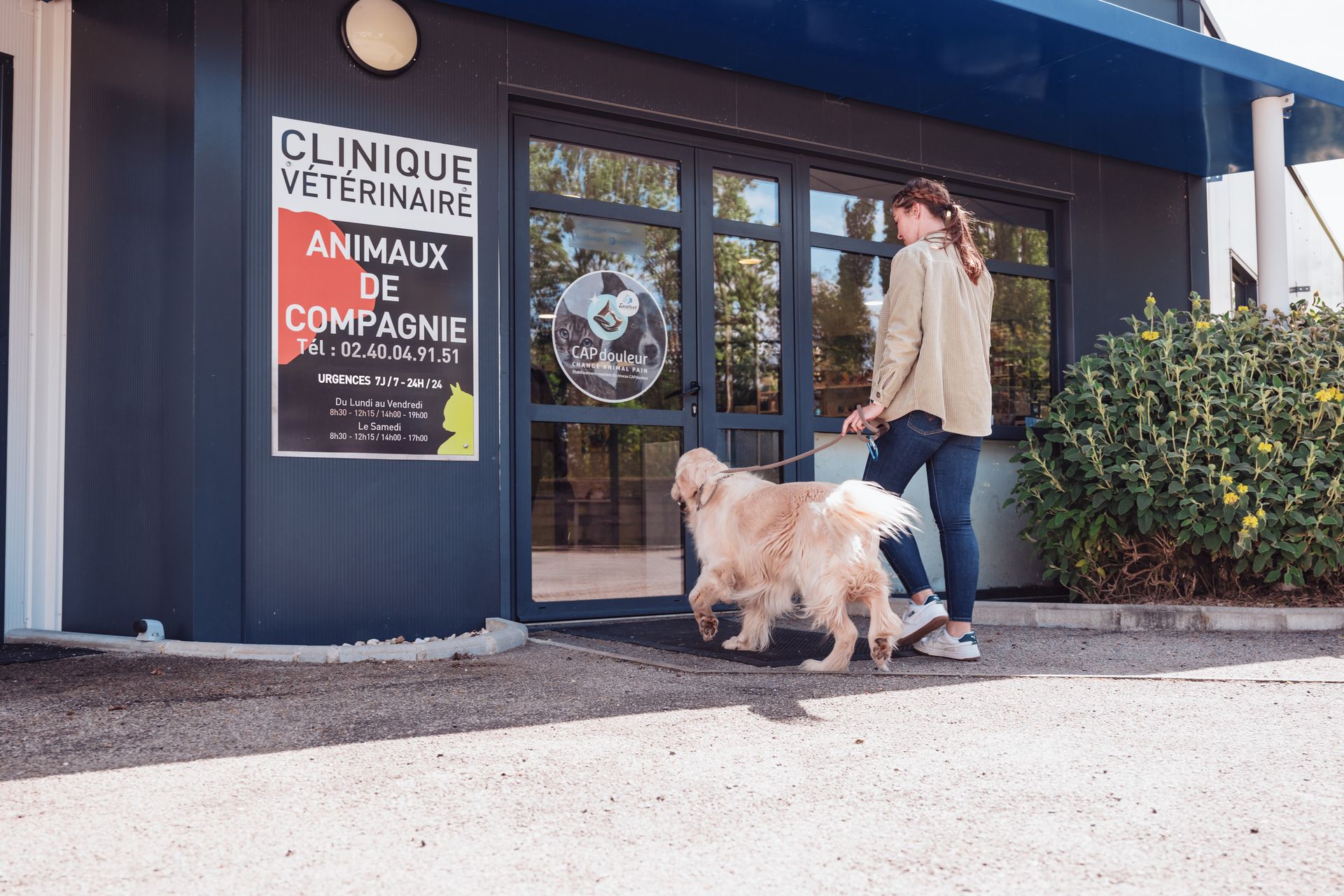 Une femme et son golden retriever entrent dans une clinique vétérinaire. L'enseigne indique « Clinique Vétérinaire ».